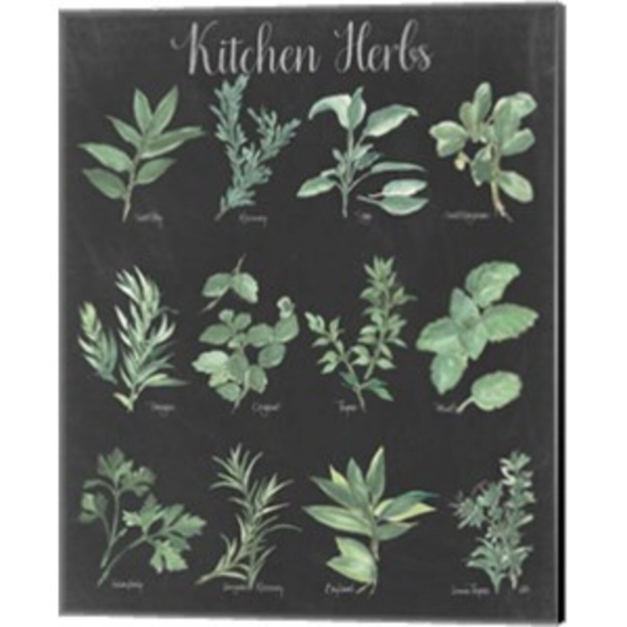 Kitchen Herb Chart on Black II by Chris Paschke 16" x 20" Canvas Wall Art